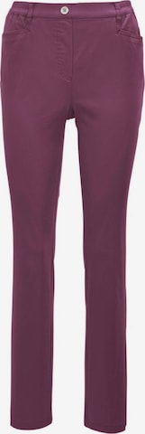 Pantalon Goldner en violet : devant