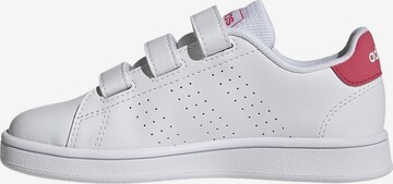 Baskets 'Advantage CF' ADIDAS ORIGINALS en blanc : devant