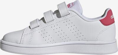 ADIDAS ORIGINALS Baskets 'Advantage CF' en rose / blanc, Vue avec produit