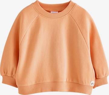 Next Свитшот в Оранжевый: спереди