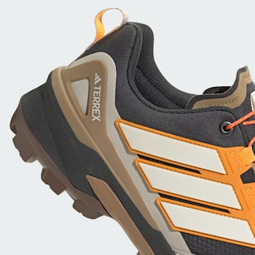 ADIDAS TERREX Lage schoen 'Skychaser' in Grijs