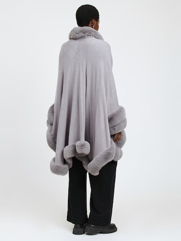 Pull-over Influencer en gris