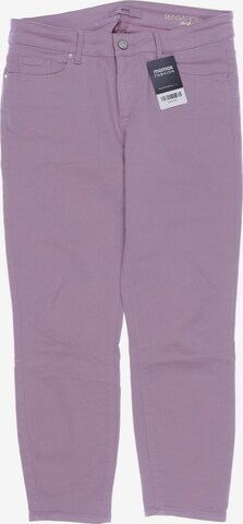 BRAX Pants in L in Pink: front