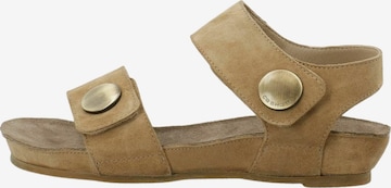 Sandalo ' CASAVA ' di Ca'Shott in marrone: frontale