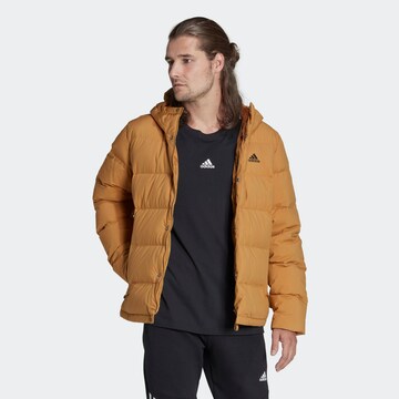 ADIDAS SPORTSWEAR Outdoor jacket in Brown