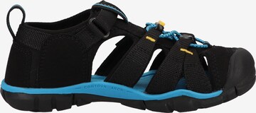 KEEN Sandals in Black