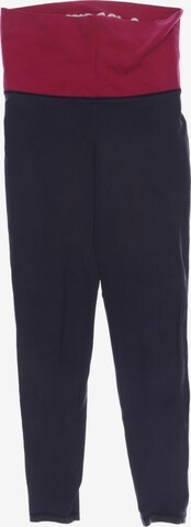 HOLLISTER Pants in S in Grey: front