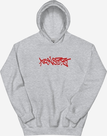 ATZENSPORT Pullover 'Helfri' in Grau: Vorderseite