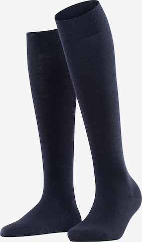 FALKE Knee socks in Blue: front