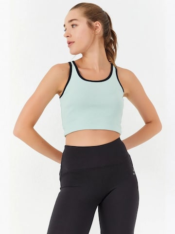 Tommy Life Top in Grün