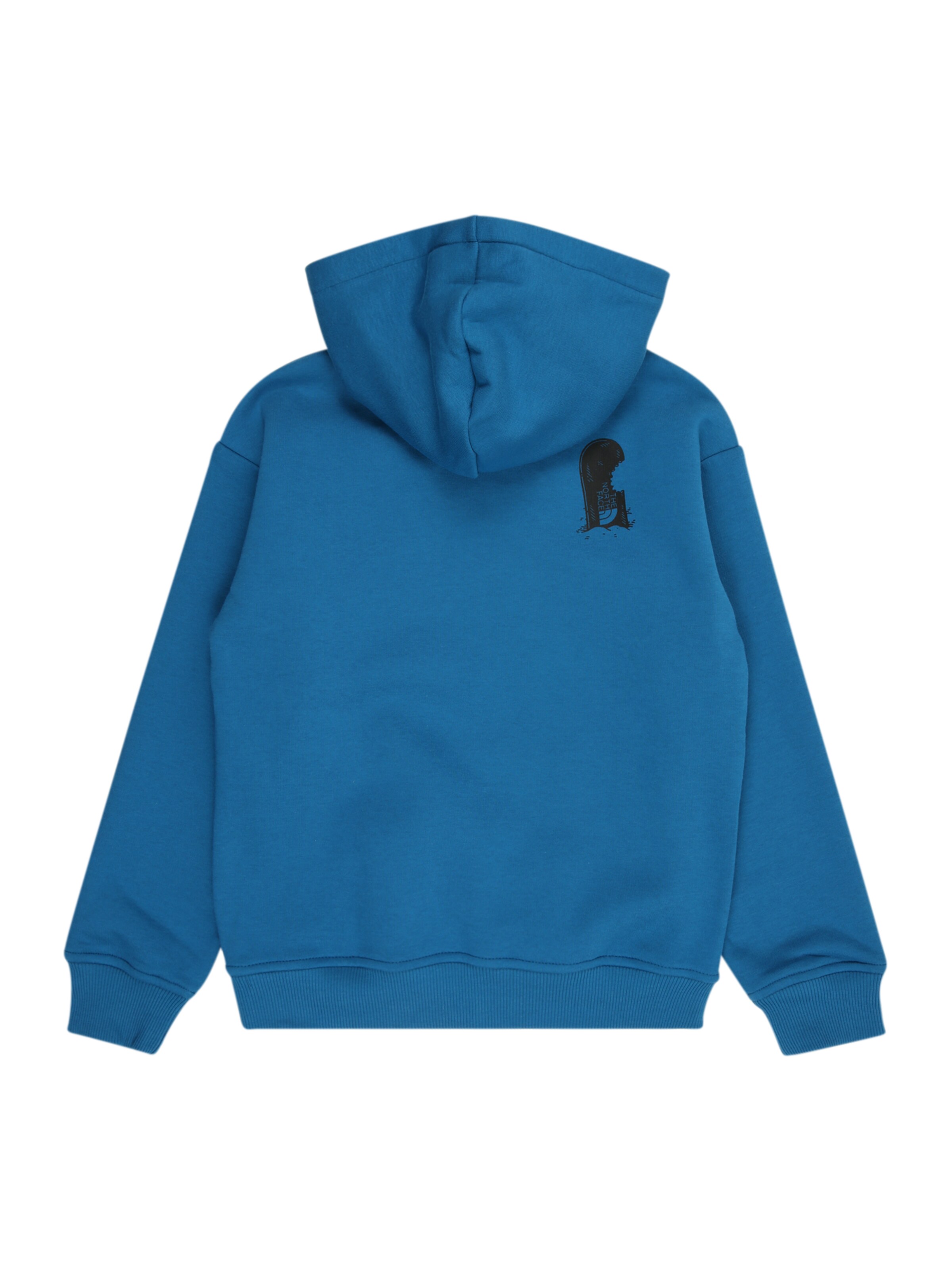 Hanorac sport de la THE NORTH FACE pe albastru