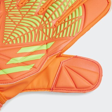 Mănuși sport 'Predator Edge Match Goalkeeper' de la ADIDAS SPORTSWEAR pe portocaliu