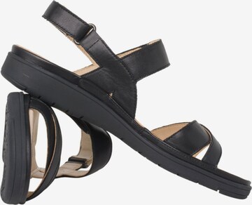 Ganter Sandalen met riem in Zwart