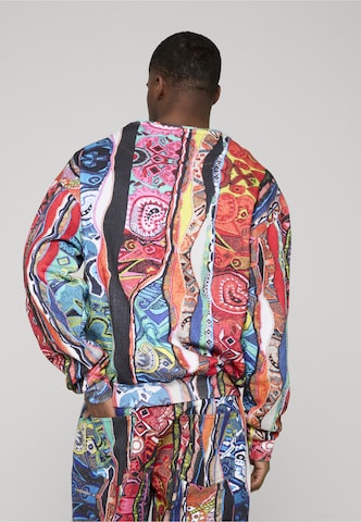 Colucci Sweatshirt in Gemengde kleuren