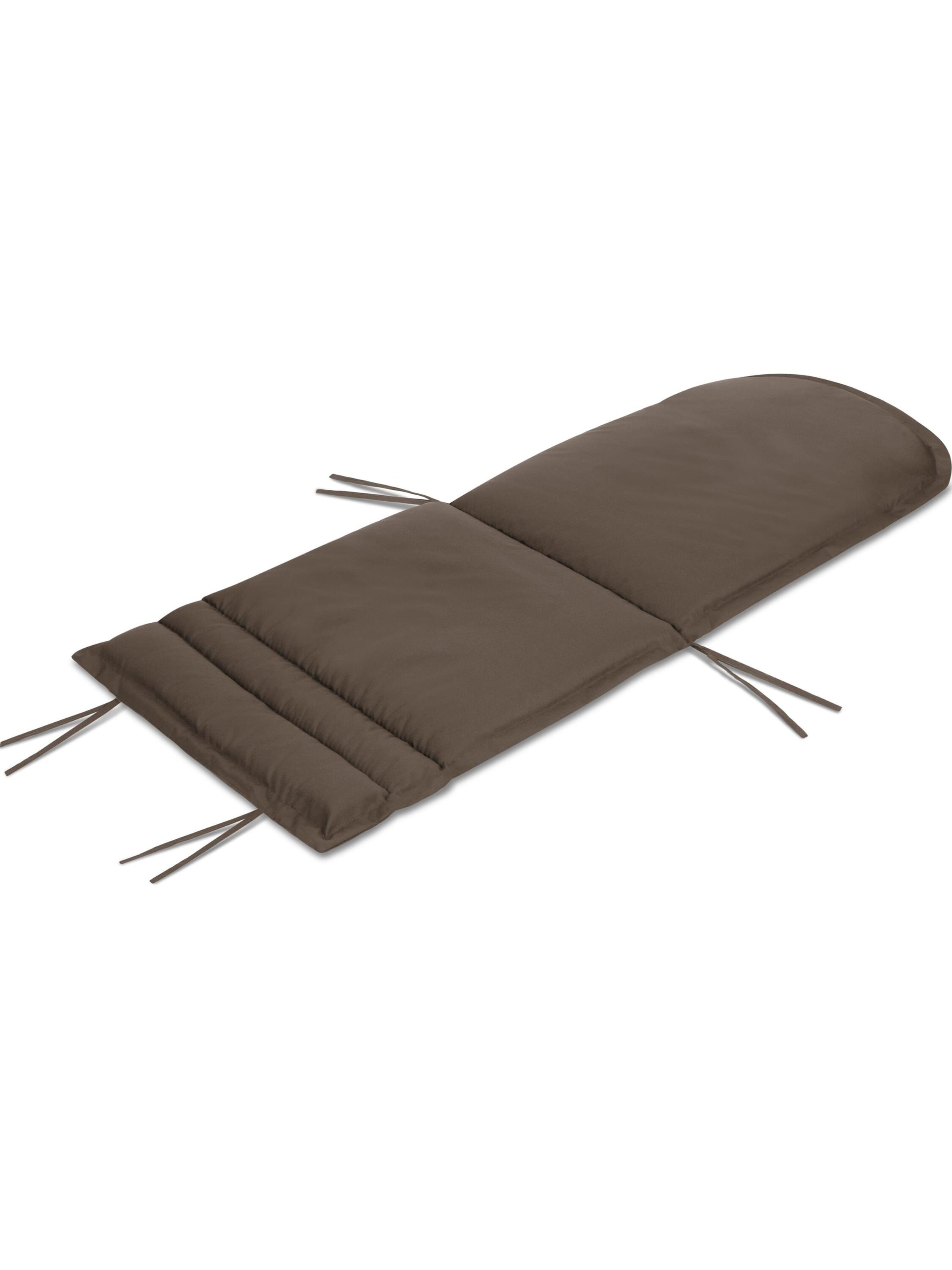 Aspero Zitkussens 'Adirondack' in Bruin