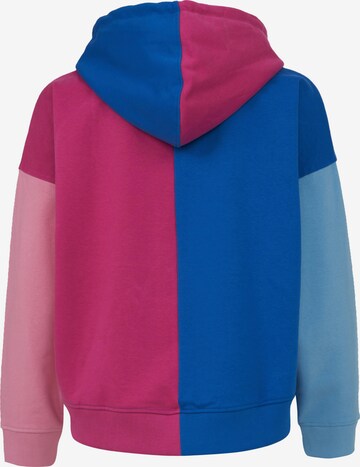 Karl Kani Sweatshirt in Blau