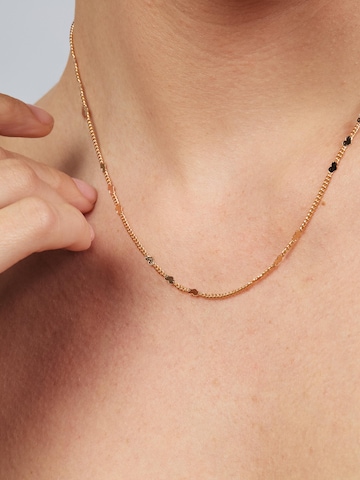 Chaîne 'Fons' Luxenter en rose
