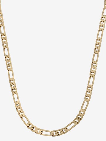 AllSaints Ketting in Goud