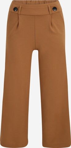 Pantalon à pince 'GEGGO' JDY Petite en marron : devant