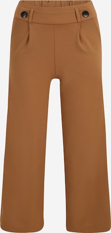 JDY Petite Pleat-Front Pants 'GEGGO' in Brown: front