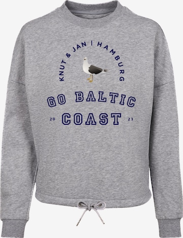 F4NT4STIC Sweatshirt in Grey: front