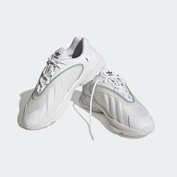 ADIDAS ORIGINALS - Sapatilhas baixas 'Oztral' em branco