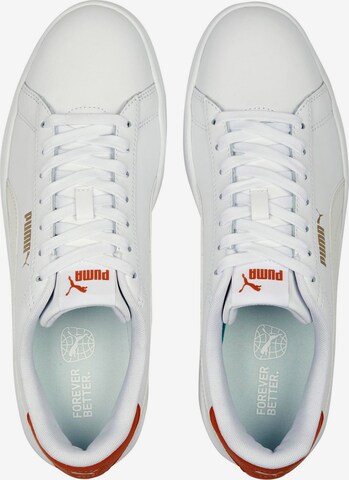 Baskets basses 'Smash 3.0' PUMA en blanc