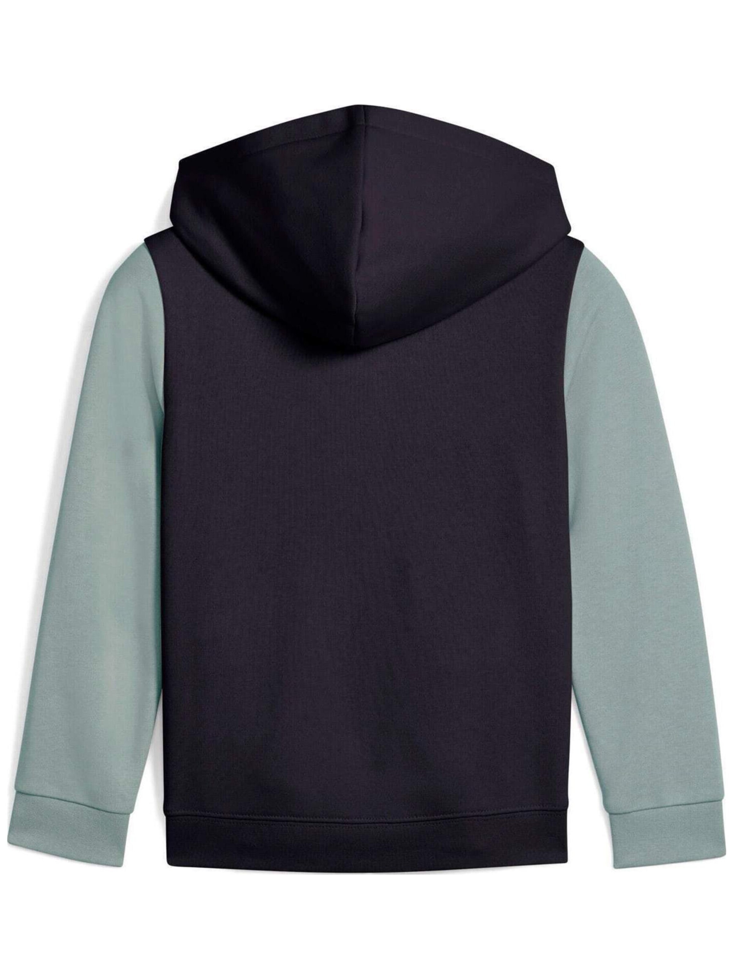 PUMA Sweatvest 'Puma Sandy Adventures Hoodie Full-zip Tr Ps' in Blauw