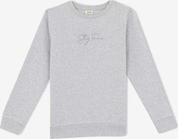 DeFacto Sweatshirt in Grey: front
