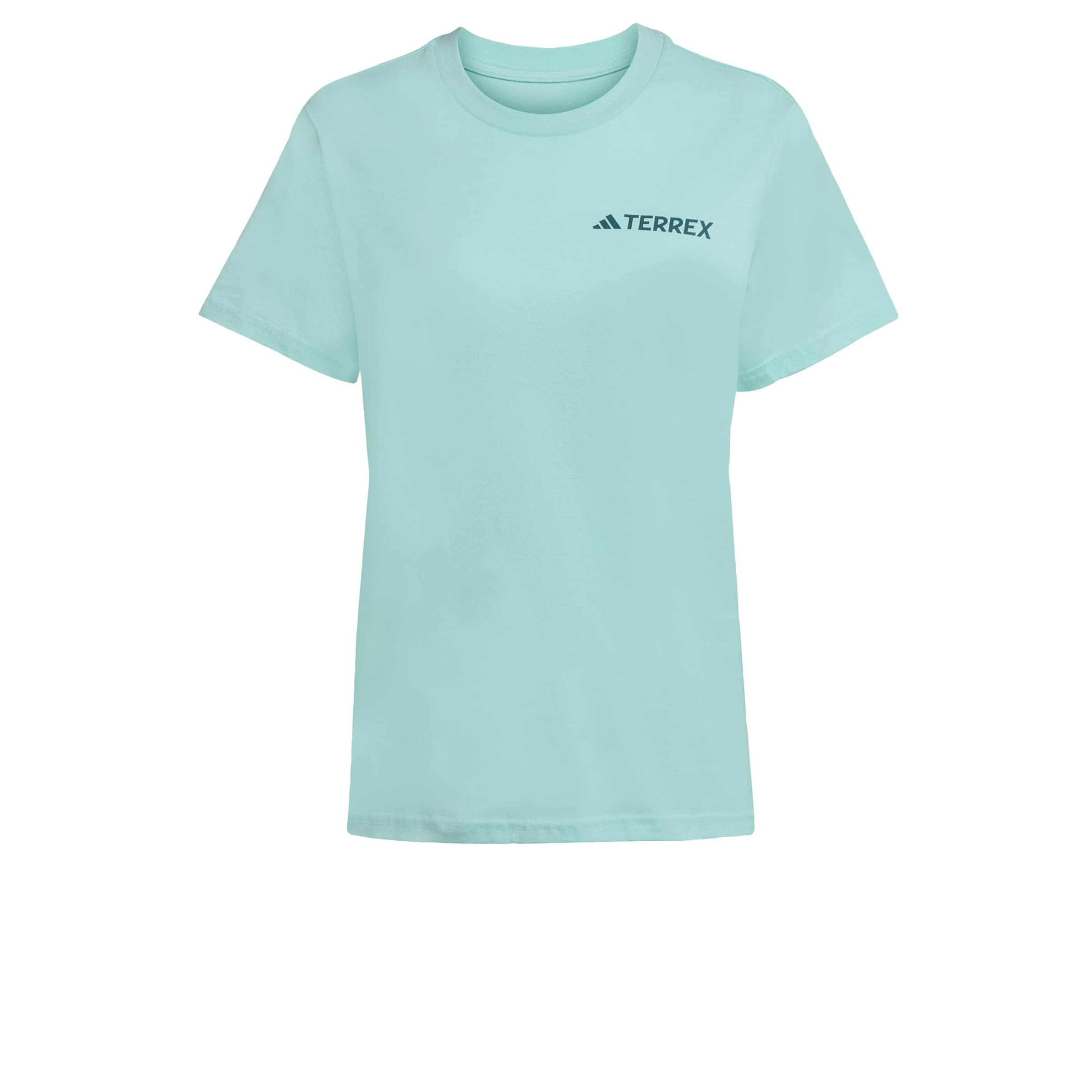 ADIDAS TERREX - Camiseta funcional 'Graphic' en verde: frente