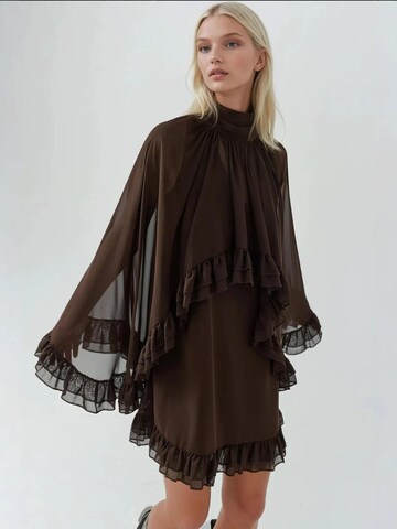 Abito di Hiccup in marrone: frontale