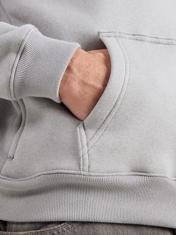 HOLLISTER Mikina - Sivá