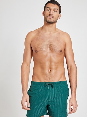 Shorts de bain Shiwi en vert : devant