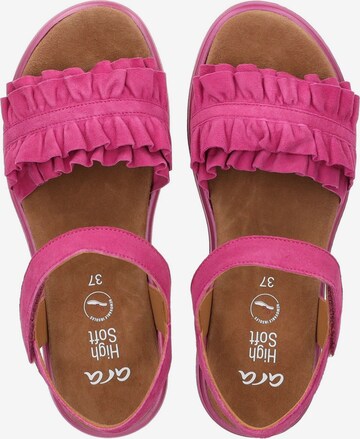 ARA Sandals in Pink