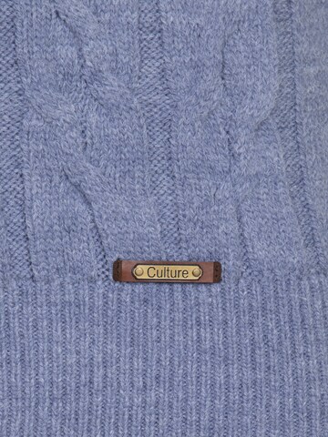 Pull-over DENIM CULTURE en bleu