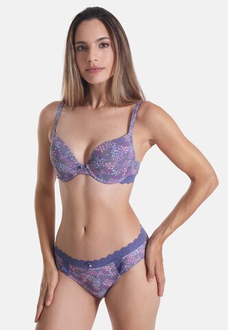 Soutien-gorge '25416' sassa en mélange de couleurs : devant