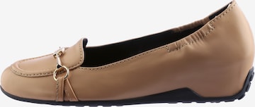 Högl Pumps 'MARINA' in Braun: Vorderseite