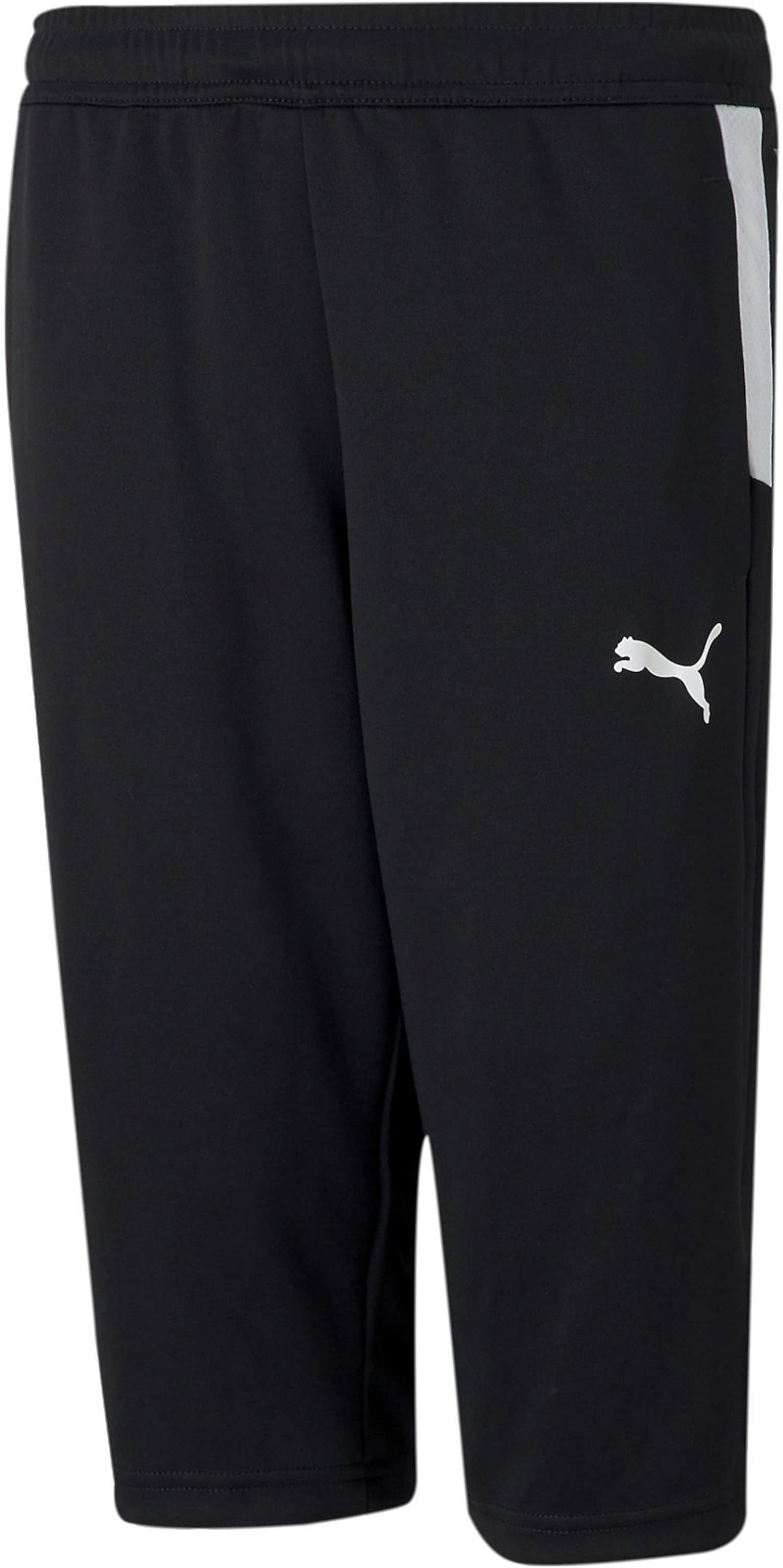 PUMA Regular Workout Pants in Blue ABOUT YOU