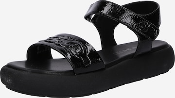 bugatti Strap Sandals 'Jasleen' in Black: front