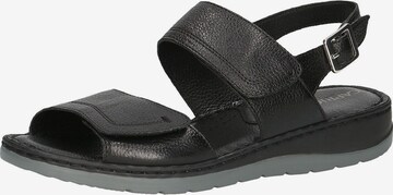 CAPRICE Sandals in Black: front