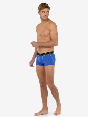 HOM Boxershort 'Rainbow' in Blau