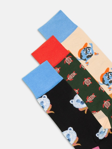 DillySocks Sokken 'Around the World' in Gemengde kleuren