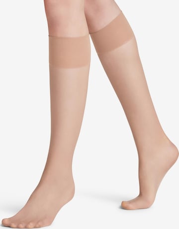 FALKE Knee High Socks 'Pure Matt' in Brown: front