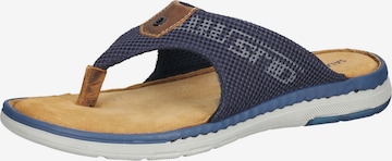 SALAMANDER T-Bar Sandals in Blue: front