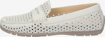 SIOUX Classic Flats in White