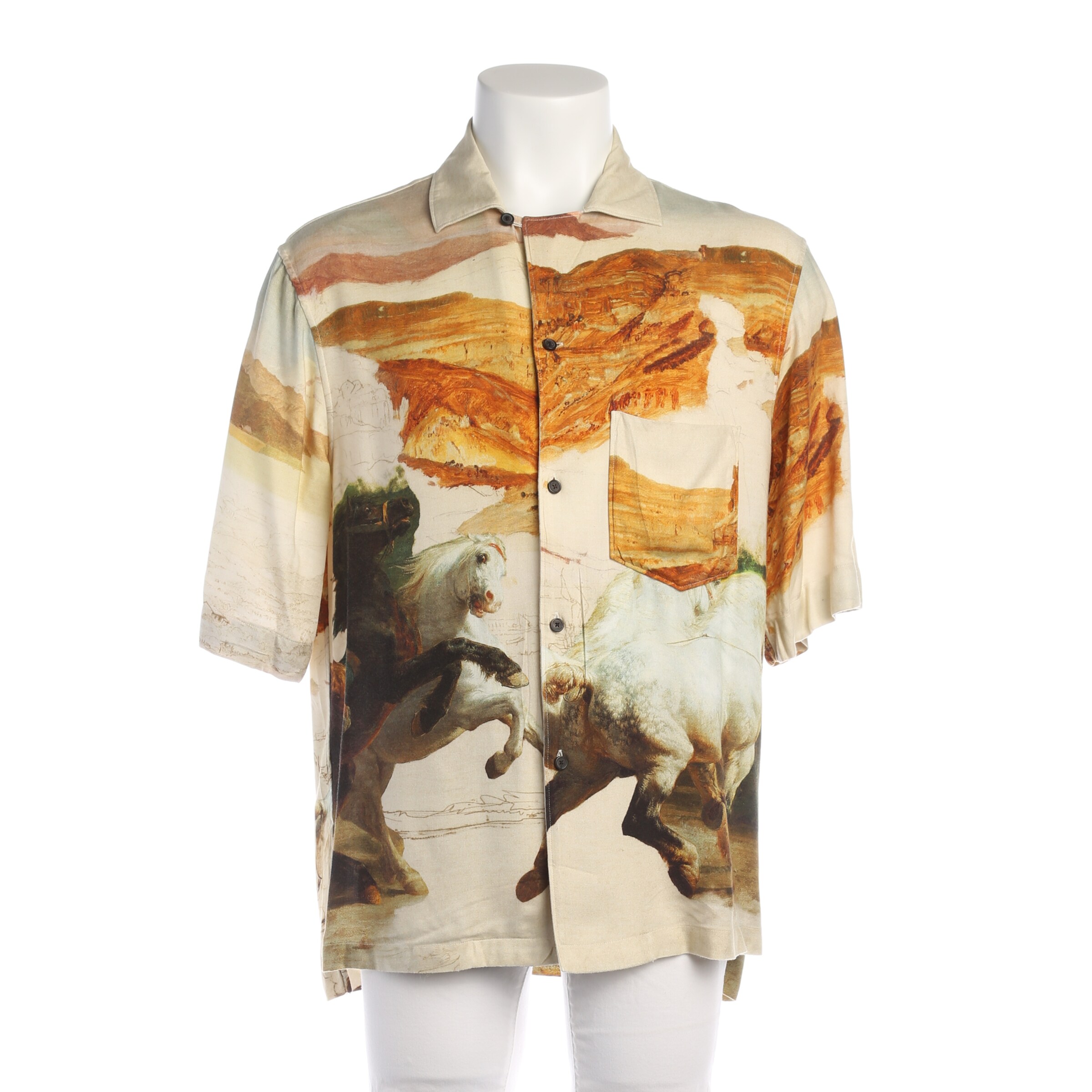 Acne Freizeithemd / Shirt / Polohemd langarm M in Mischfarben: Vorderseite