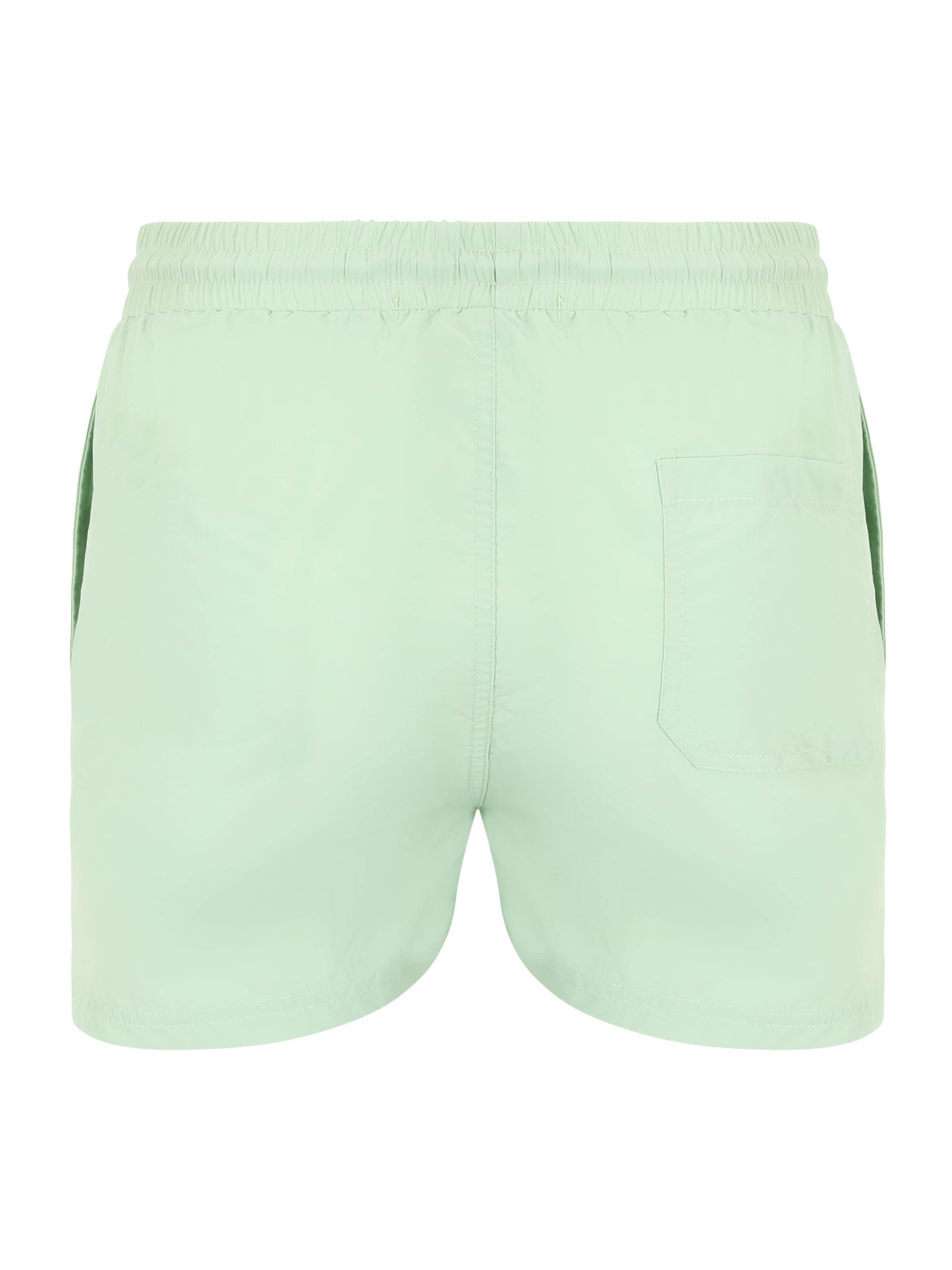 Sinned x ABOUT YOU Σορτσάκι-μαγιό 'ALEJANDRO' σε πράσινο