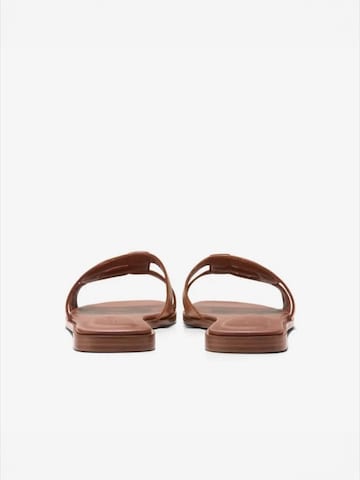 Cole Haan Riemensandale 'CHRISEE' in Braun