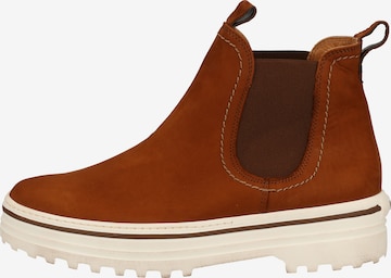 Paul Green Chelsea boots in Bruin