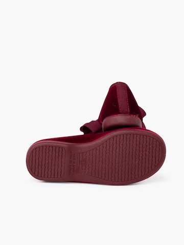 Pisamonas Flats in Red